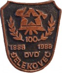 DVD ĐELEKOVEC 1888 1988 brončana